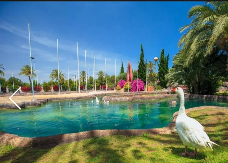 Beach Apartment Torrevieja Luaran gambar